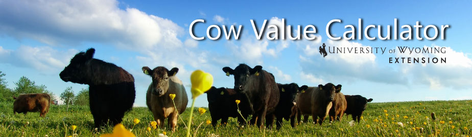 Cow Value Calculator