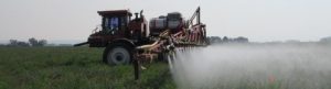 spraying field