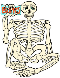 Animated Human Skeleton