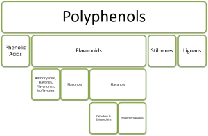 polyphenols (condensed phytochemical tree) - without figure subtitle