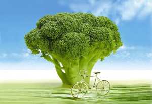 Broccoli and Bike