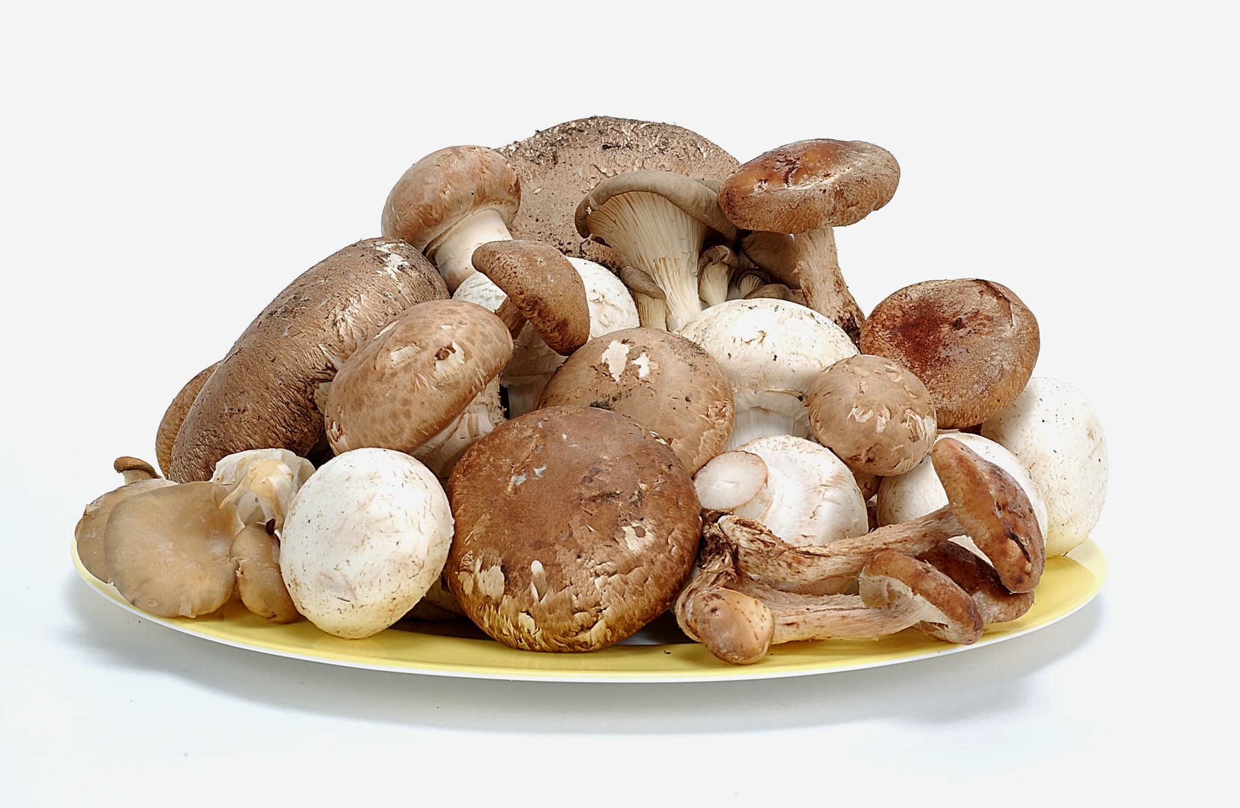 Mushrooms