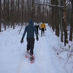 Three people snowshoeing in the woods.