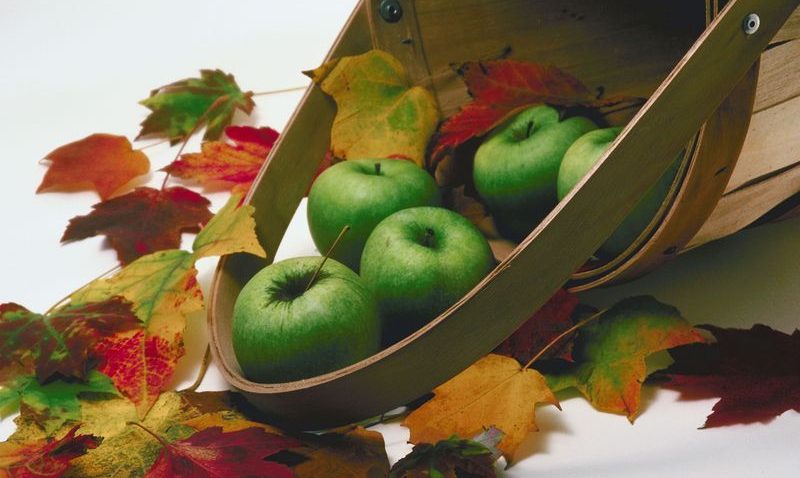 Fresh apples in basket