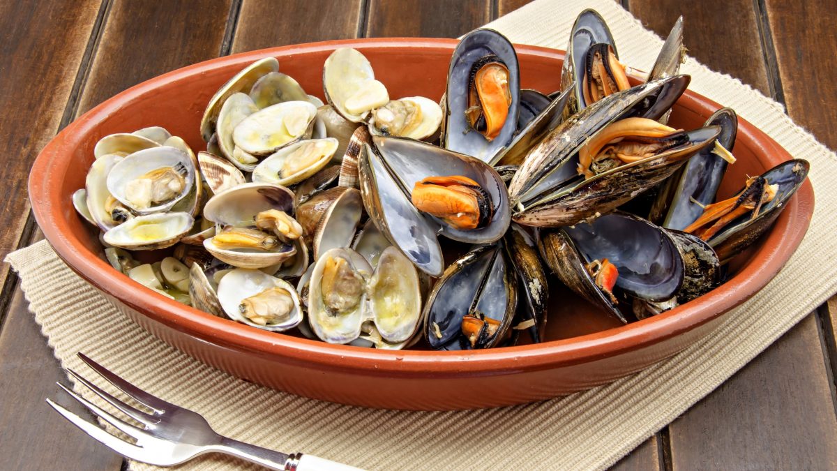 Clams and mussels