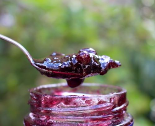 Fruit Jam on spoon coming out of jar