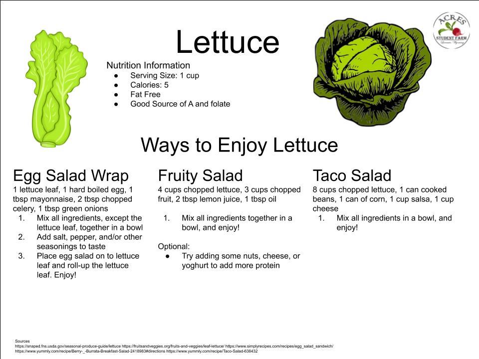 Lettuce Flier