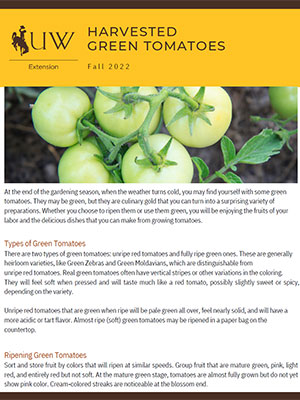 Harvested Green Tomatoes Flier