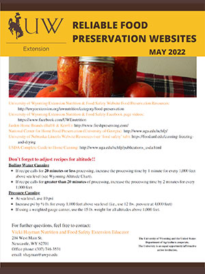 Reliable Preservation Websites