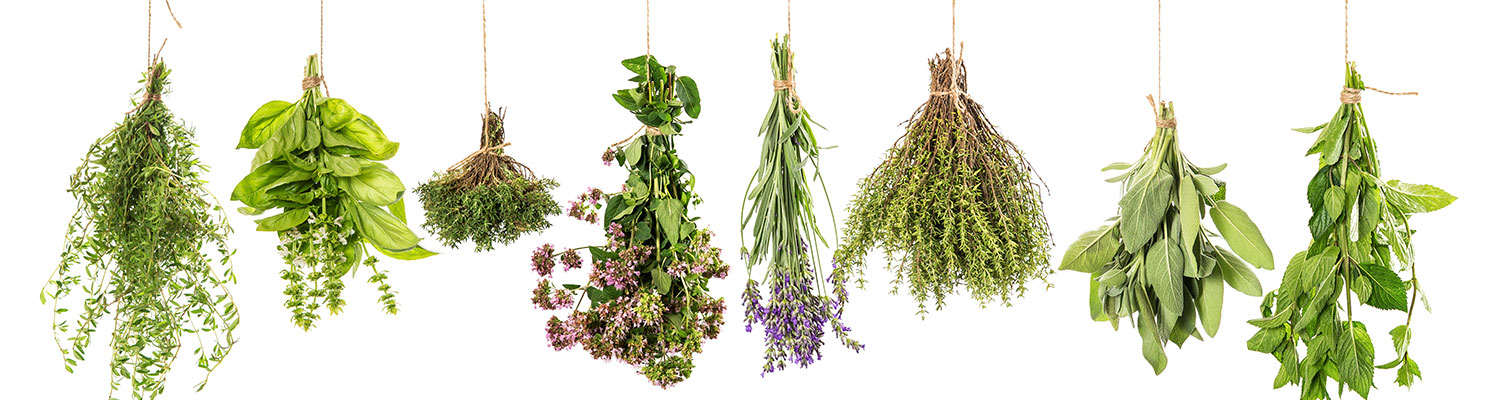 Dried Herbs