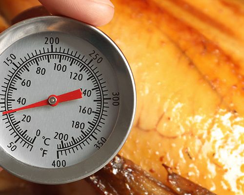 Thermometer testing turkey
