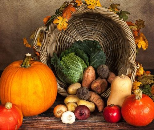 Fall harvest of a variety of vegetables in a basket