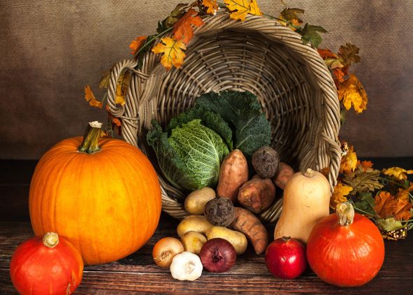 Fall harvest of a variety of vegetables in a basket