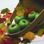 Apple Strudel