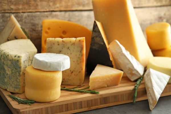 Different kinds of cheese blocks