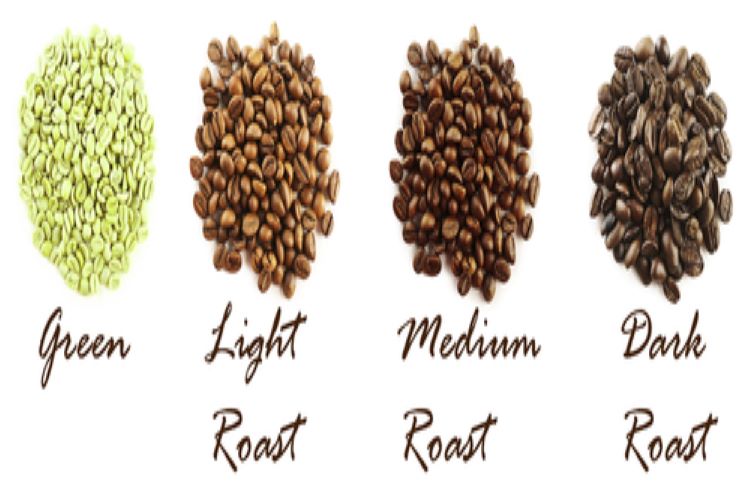 Green, light, medium, and dark roasted coffee beans