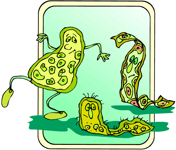 Cartoon of bacteria
