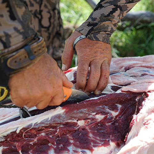 Hunter field dressing a harvested animal using a knife in the field, demonstrating safe meat handling practices.