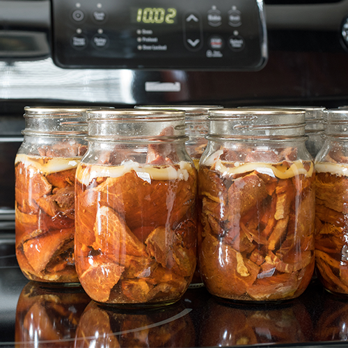 Glass jars filled with home-canned wild game meat cooling on a stovetop after pressure canning.