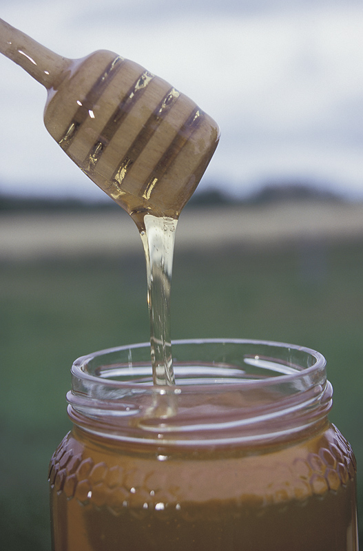 honey drizzle